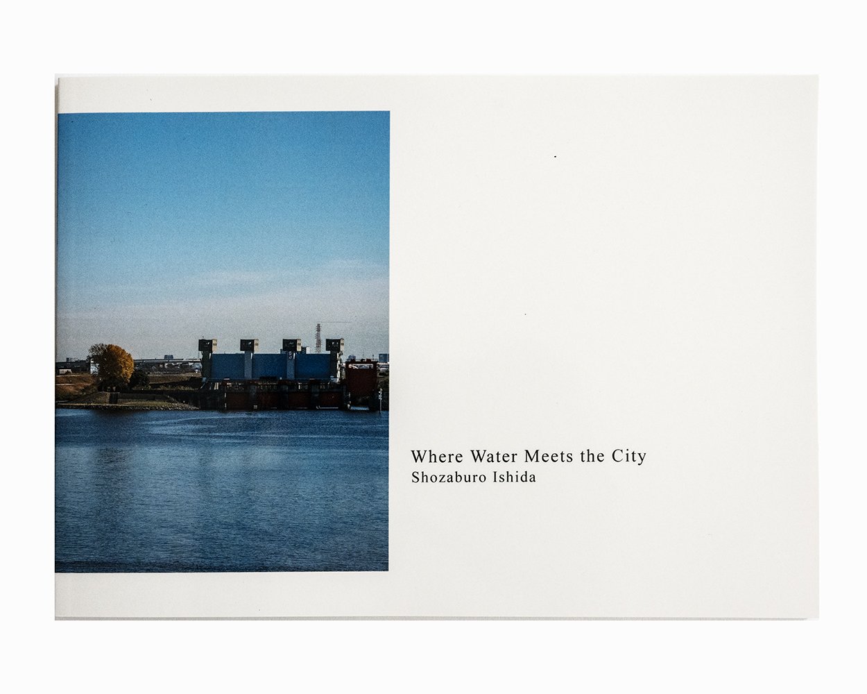 ポーラ・マッカードル “Book in the Bath” Paula McArdle, Original Artist Print, 